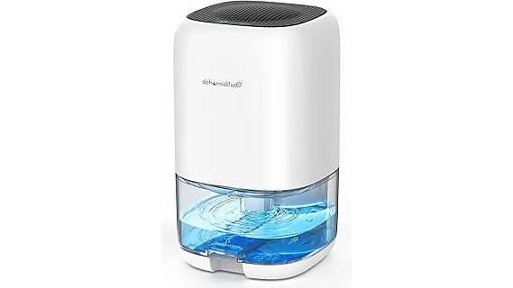 Top 10 Quiet Dehumidifier for Sleep