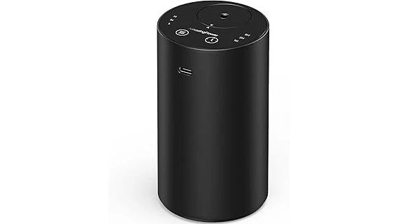 Top Rated 10 Portable Sleep Diffuser