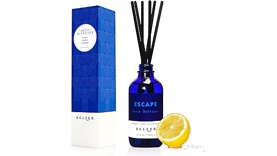 Top Rated 10 Room Freshener Diffuser