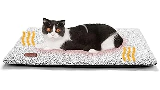 Top Rated 10 Self-heating Blanket