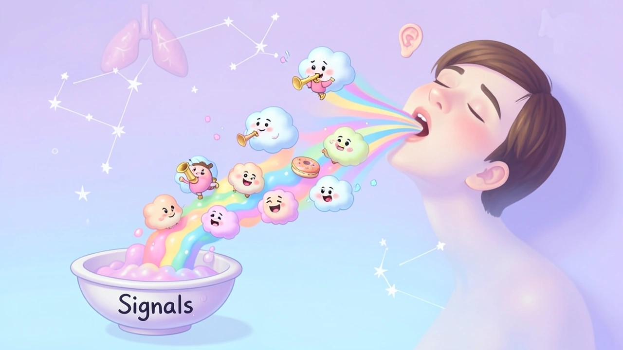 Common Causes and What They Signal